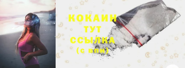 стаф Баксан