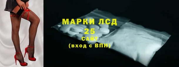 стаф Баксан