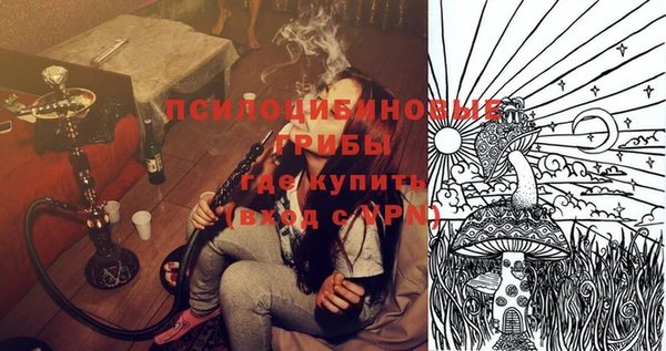 стаф Баксан