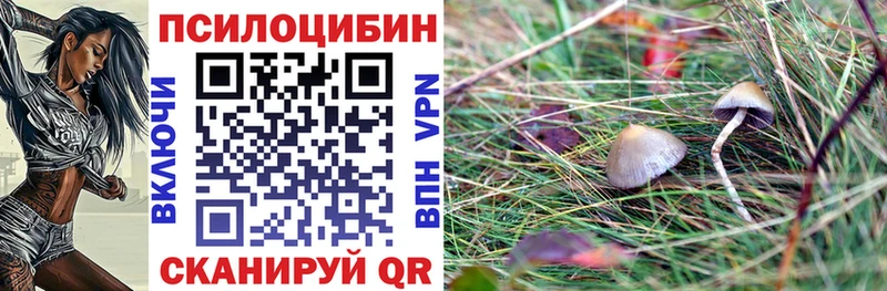 Галлюциногенные грибы прущие грибы  Рассказово 